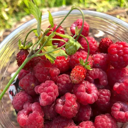 Cozy With Boat, Steps From In Kerimaa 度假居